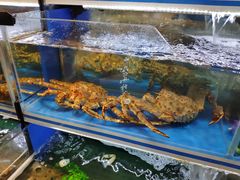 -金鹰超市(国际购物中心新街口店)