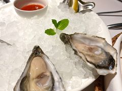 -Oyster Talks 四度蚝法餐厅