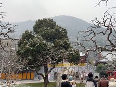 -华清宫景区