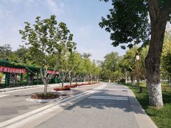 -西海子公园