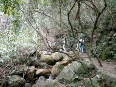 -牛鱼嘴原始生态风景区