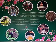 -茶油香闽南菜·花园餐厅(前埔店)