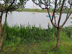 -昆山城市生态森林公园