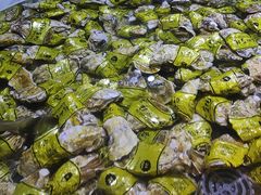 -聚盛源蒸汽海鲜火锅烤肉自助(巨川金海岸购物广场店)