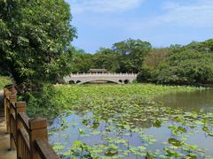 -雀儿山公园