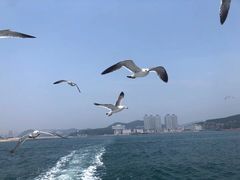 -长兴岛海滨公园
