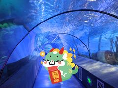 -太平洋海底世界