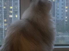 -海底捞火锅(龙湖北京大兴天街店)