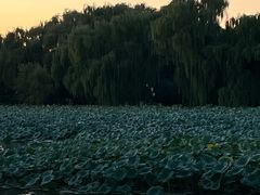 -曲廊院(东四十一条店)