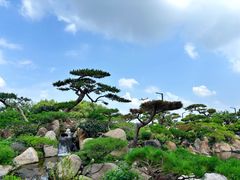 -罗红摄影艺术馆