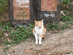 -安徽天堂寨风景区