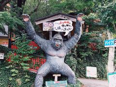 -宫城藏王狐狸村