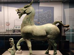 -广西壮族自治区博物馆