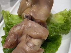 -丁老爷子苏香圆