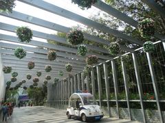 -深圳国际园林花卉博览园