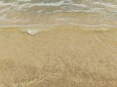 -碧海金沙