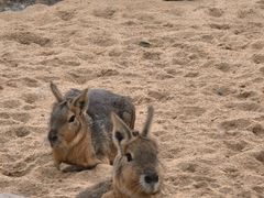 -茅山东方盐湖城景区