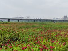 -咸阳湖景区