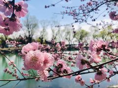 -颐和园