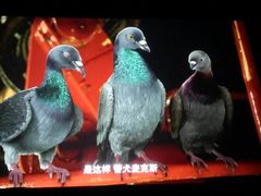 -大地影院(上海南汇店)