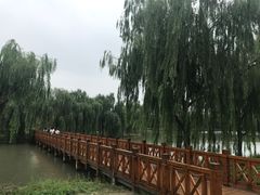 -华东政法大学(松江校区)