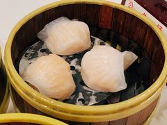 金鼎鮮味虾饺皇-广州酒家(文昌总店)
