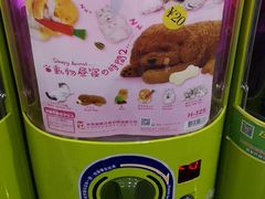 -TOYSRUS玩具反斗城(厦门新生活广场店)