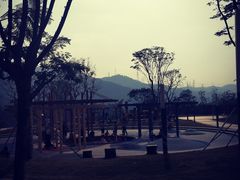 -白石龙音乐公园