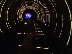 -星美国际影商城(虞景文华店)