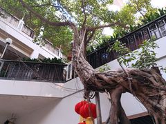 -广州酒家(文昌总店)
