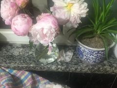-BOBLOOM花店(宝龙旭辉广场店)