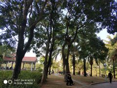 -深圳龙潭公园