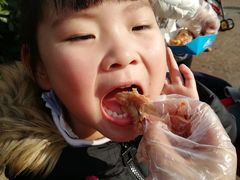 -迪士尼火鸡腿