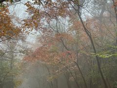 -紫金山山顶公园