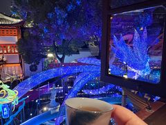 -豫园湖心亭茶楼