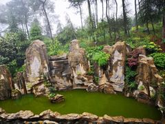 -铁山坪森林公园