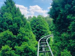 景点-陶然亭公园