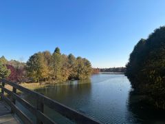 -上海海湾国家森林公园