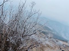 -阳台山自然风景区