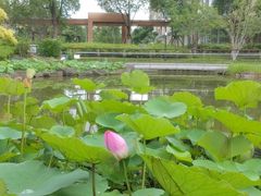 -梧桐人家中国太平国际健康颐养社区