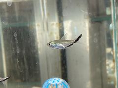 -三旗百汇商品城