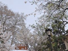 -鸡鸣赐茶(鸡鸣寺路店)