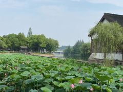 -柯岩风景区