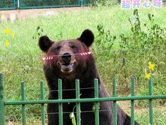 -秦皇岛野生动物园