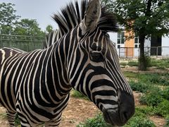 -宿豫区运河湾森林动物园