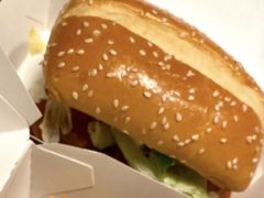 新奥尔良烤鸡腿堡-肯德基(郴州安仁五一路店)