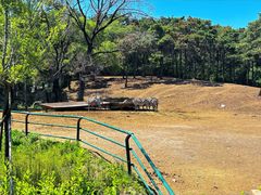 -沈阳森林动物园