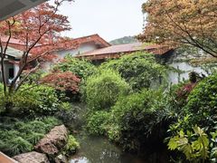 -中国茶叶博物馆(双峰馆区)