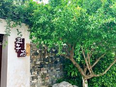 -青果巷历史文化街区