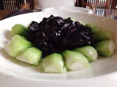 iphone_upload_pic-紫藤炉茶膳(兴庆府大院店)